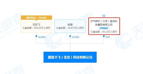 软件开发 从概念到实现的旅程